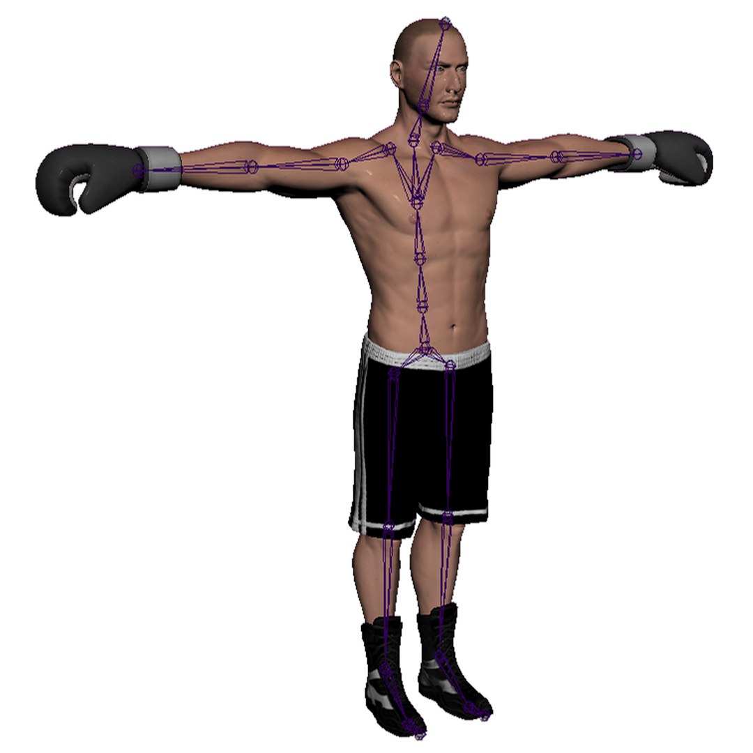boxer rigged 3d fbx