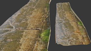 3D Mossy Concrete Path scan