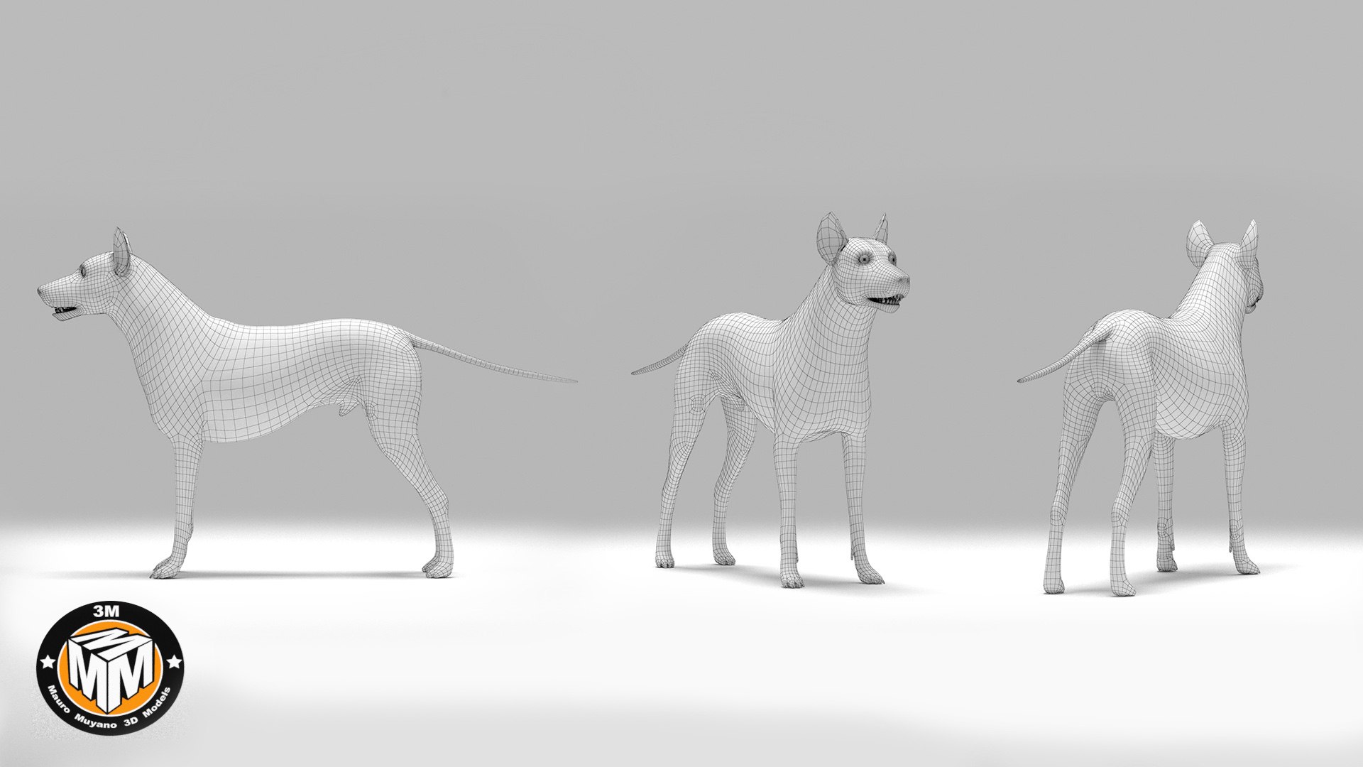 3D dusicyon avus model https://p.turbosquid.com/ts-thumb/lP/ashyTI/0T7pqWUi/x2/jpg/1524057588/1920x1080/fit_q87/00abcb5117d023bf2c63b17836057648e432fde6/x2.jpg