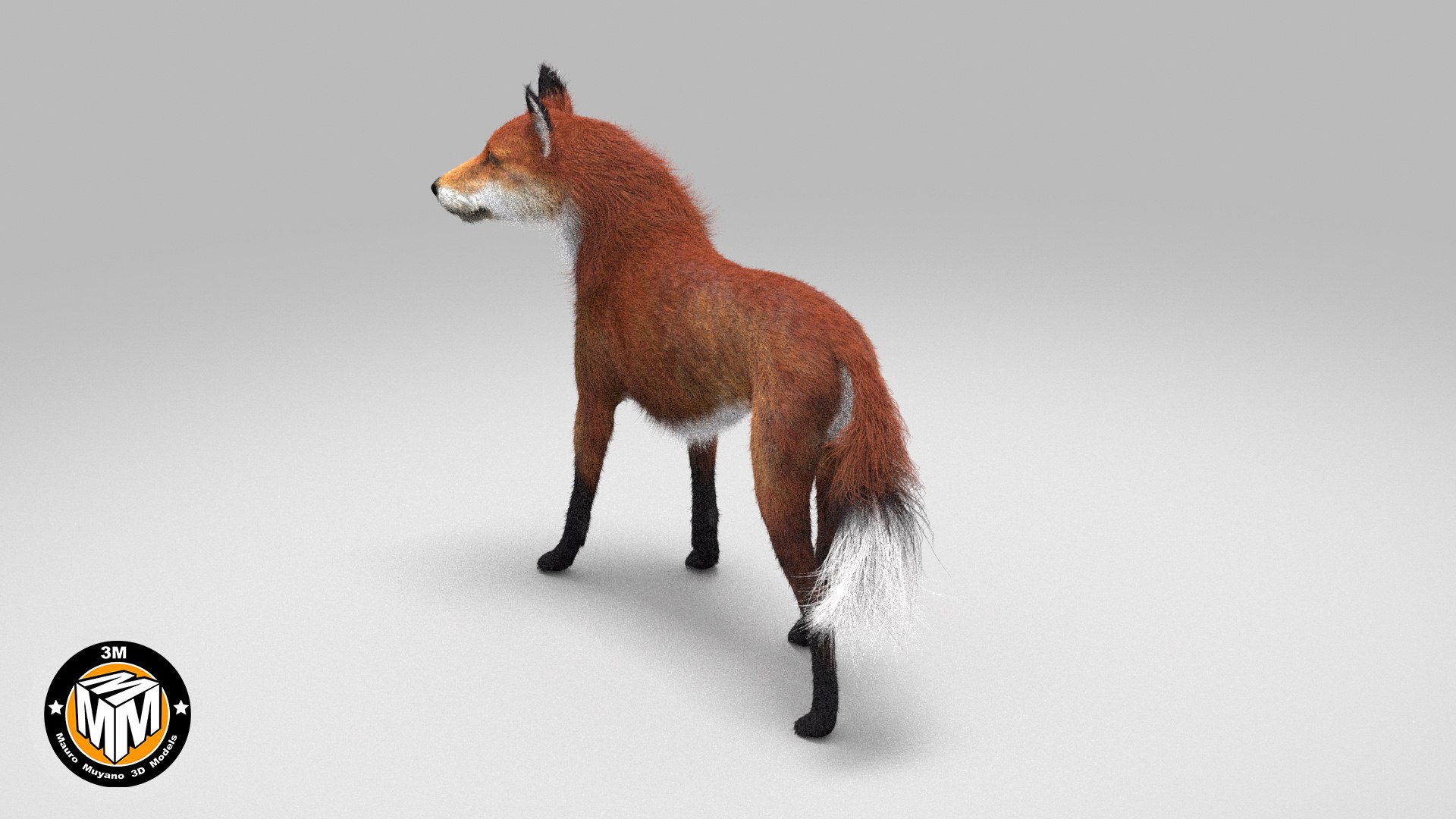 3D dusicyon avus model https://p.turbosquid.com/ts-thumb/lP/ashyTI/KVntAMzH/m3/jpg/1524059424/1920x1080/fit_q87/a464d00b27d25d4b5b37d0c37a4d77a3b9c74fc2/m3.jpg