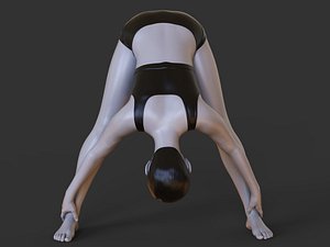 Yoga Pose - Wide Legged Forward FoldPrasarita Padottanasana