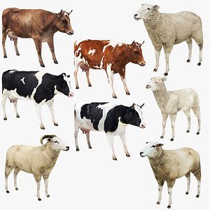 3D Cow and Sheep Collection