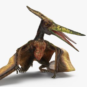 3D pteranodon flying carnivorous reptile model