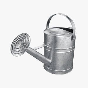 Metal watering can