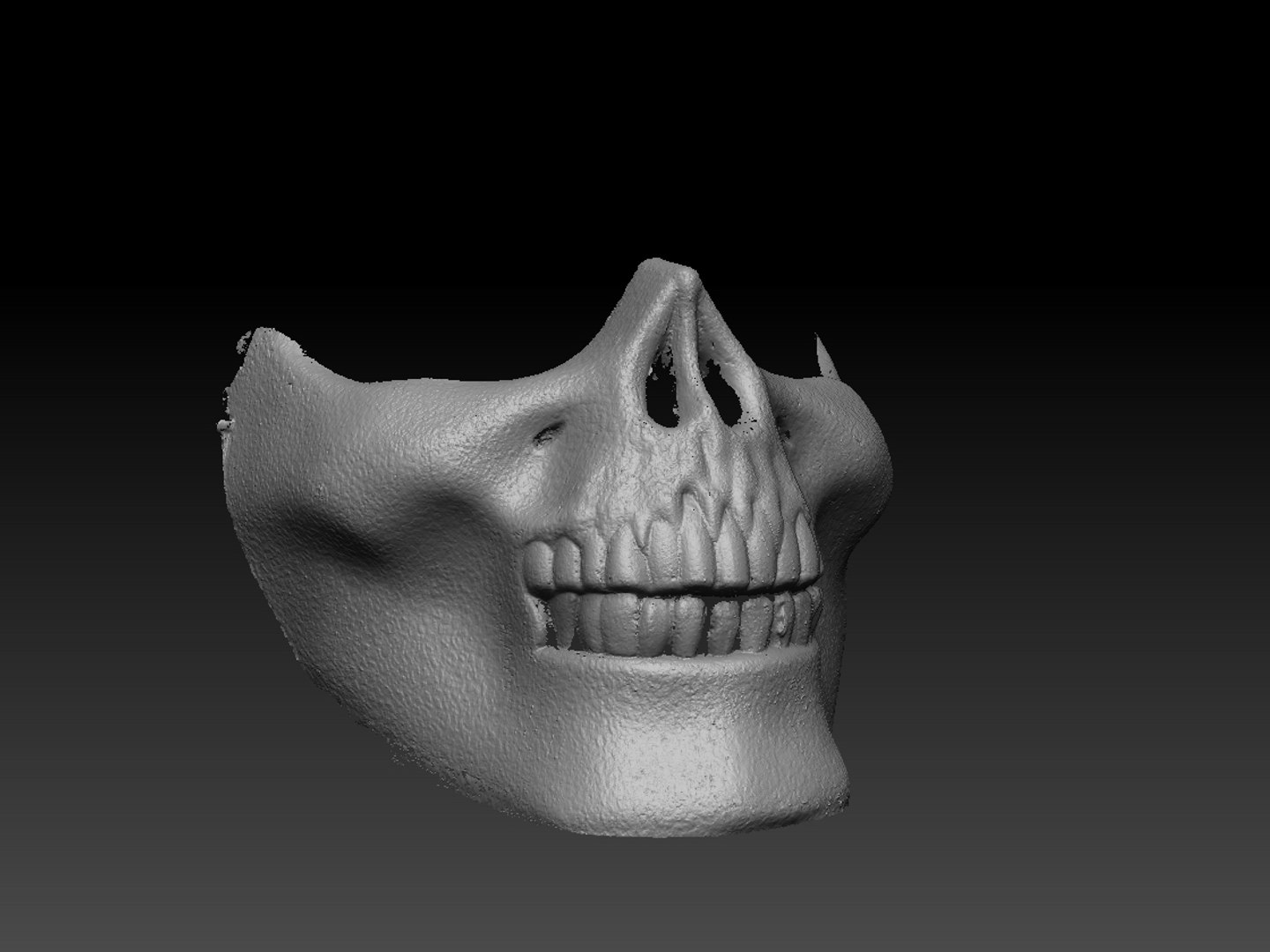 protection mask obj