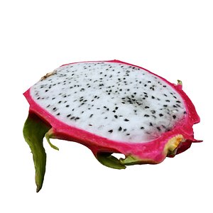 Dragon Fruit Flesh 3D