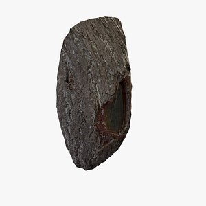 3D model Anydrafts Ginkgo biloba Burl 03 3d model