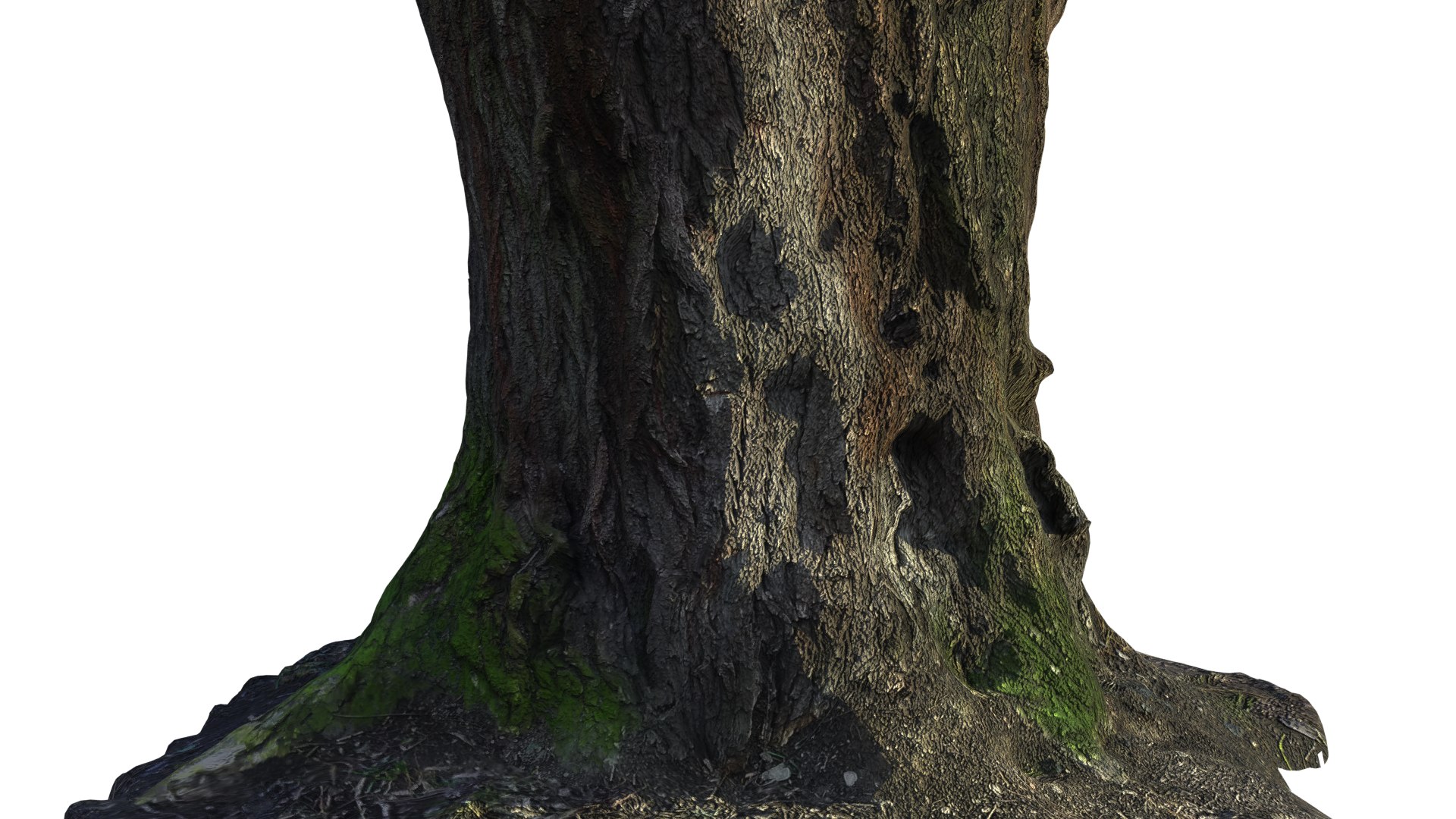 trunk acacia tree 3D https://p.turbosquid.com/ts-thumb/lQ/0cukxZ/CShzbmxz/4/png/1516549732/1920x1080/fit_q87/04de1193151d310441e7b3e1c5db9d2df11a8253/4.jpg