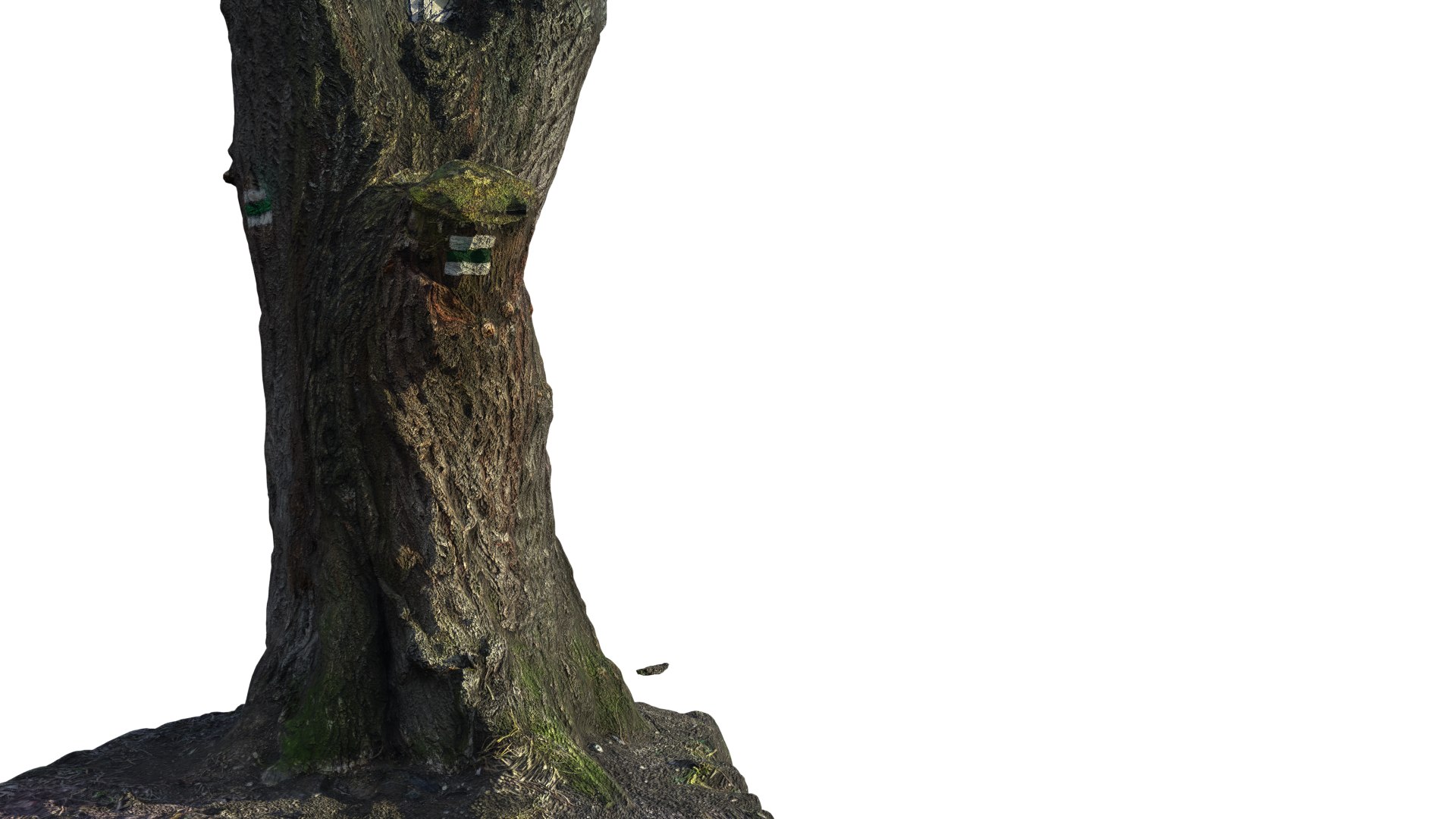 trunk acacia tree 3D https://p.turbosquid.com/ts-thumb/lQ/0cukxZ/RMsoXJYt/2/png/1516549404/1920x1080/fit_q87/d36ca0b564199ee8f28ecf0316b54cc03425befe/2.jpg