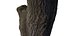 ACACIA TREE TRUNK