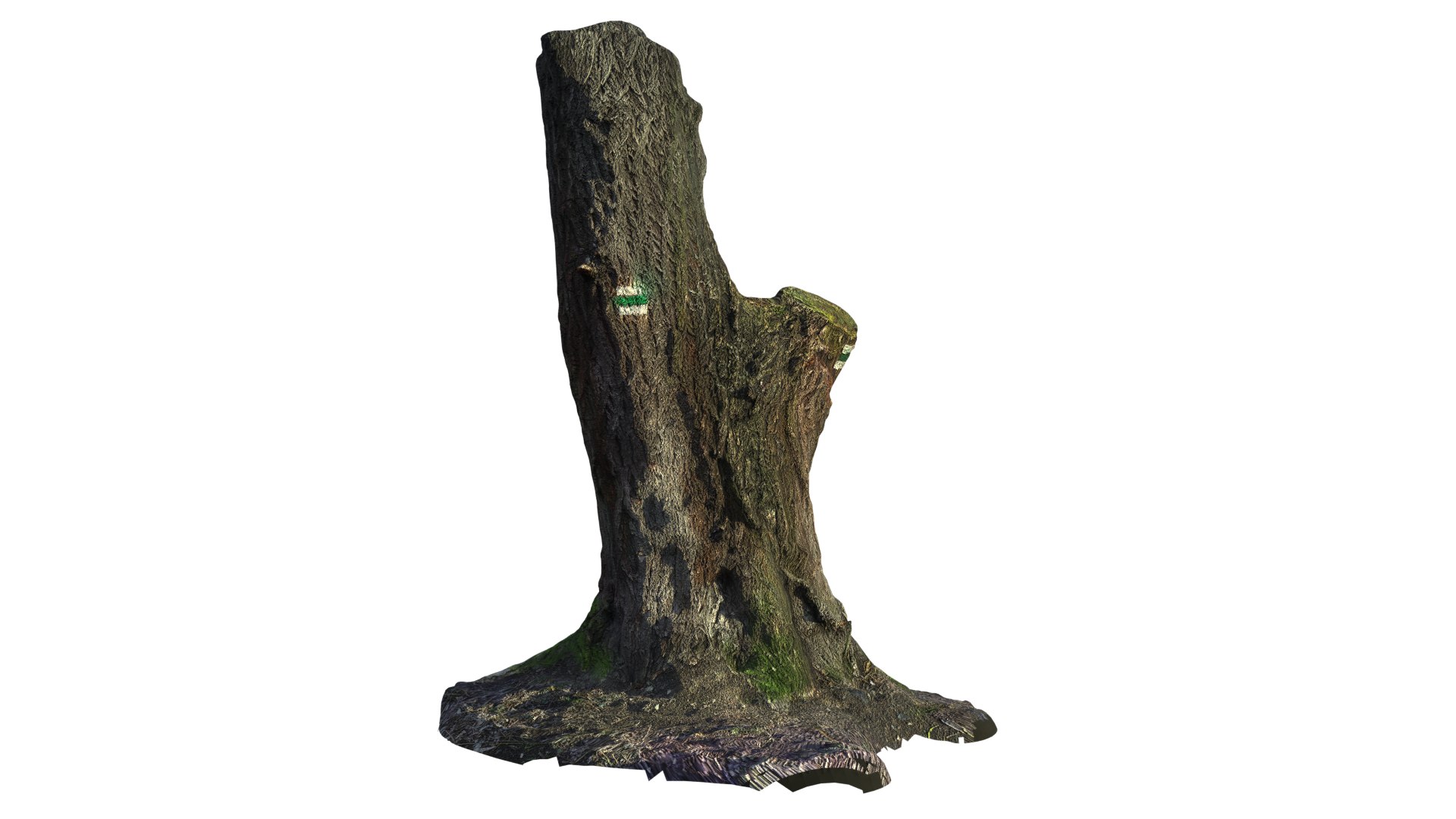 trunk acacia tree 3D https://p.turbosquid.com/ts-thumb/lQ/0cukxZ/tgcEn4dq/5/png/1516549747/1920x1080/fit_q87/c55618890901d0dfa84c4b5a40a8d758a3128261/5.jpg