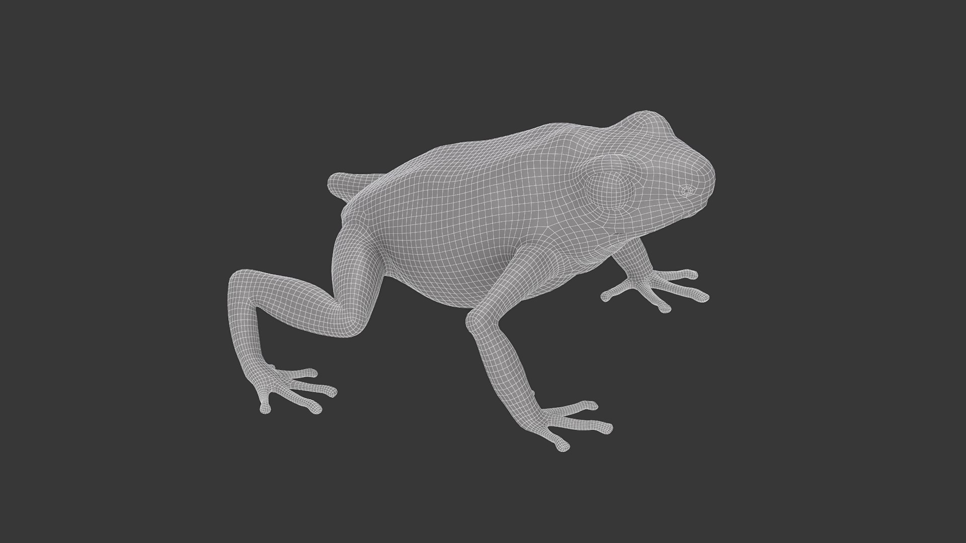 3D Red Poison Dart Frog model https://p.turbosquid.com/ts-thumb/lQ/AIzrbs/QP/dart_frog_wired03/png/1675184135/1920x1080/fit_q87/8bead45f1d59b52d81224af5a82a0dbafac27736/dart_frog_wired03.jpg