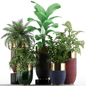 plants 233 longhi godwin 3D