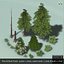 pine tree bush 3d model