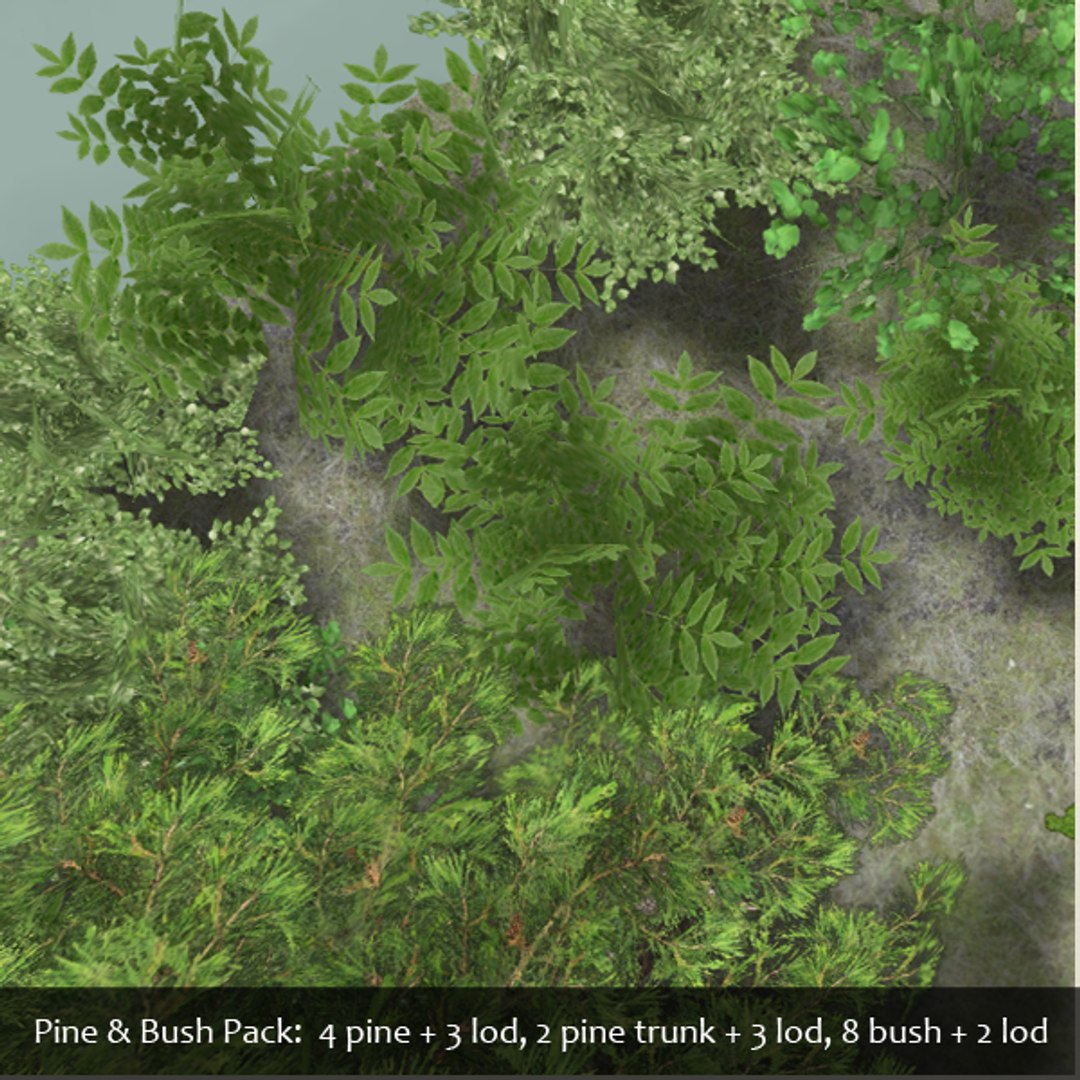 pine tree bush 3d model https://p.turbosquid.com/ts-thumb/lQ/MufHmU/JLQWXLO3/pine_pres4/png/1356952055/1920x1080/fit_q87/24b5fb8c2f19823f070164adcba21b96a742d11a/pine_pres4.jpg