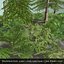 pine tree bush 3d model