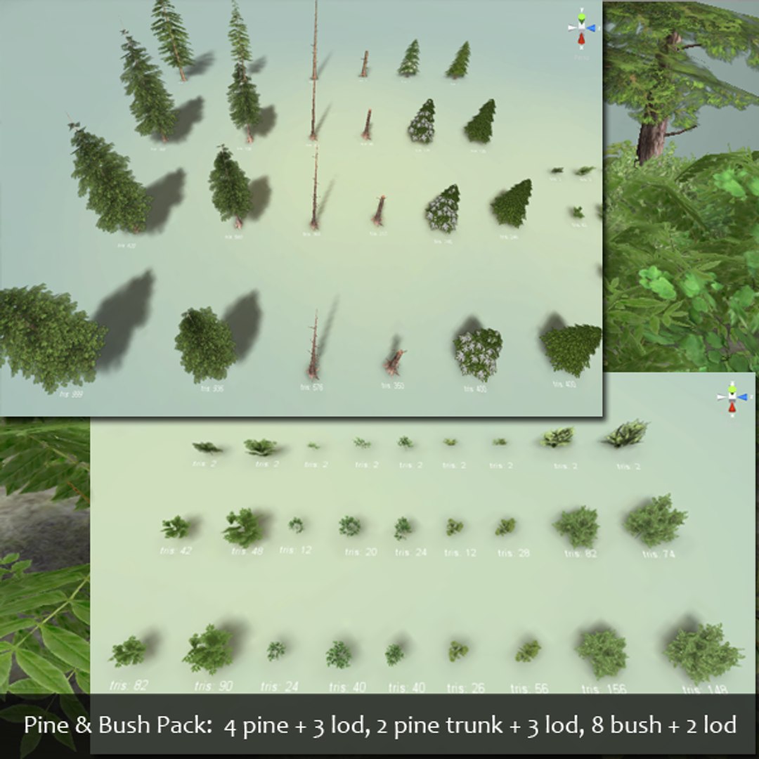 pine tree bush 3d model https://p.turbosquid.com/ts-thumb/lQ/MufHmU/vCERu1wG/pine_pres2/png/1356952024/1920x1080/fit_q87/e9088401d20e28c6f7af05a46b31cb7bbe9490a9/pine_pres2.jpg