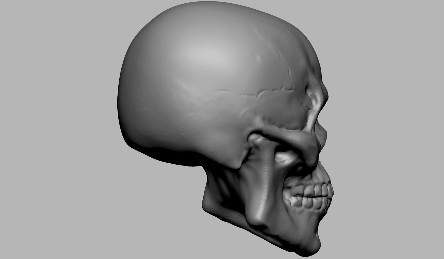 3D Skull - TurboSquid 1502918