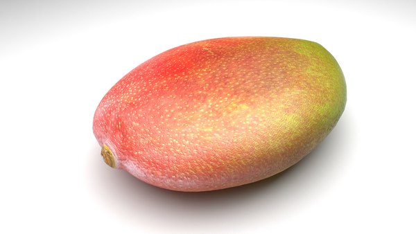 Mango3D模型 - TurboSquid 1879145