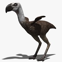 Phorusrhacos