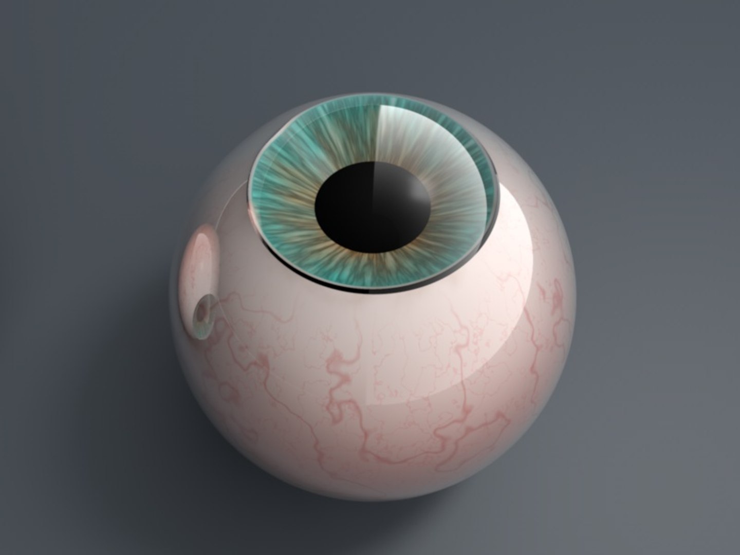 Eyes 3d C4d
