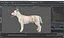 Mongrel Dog Cream Rigged for Maya