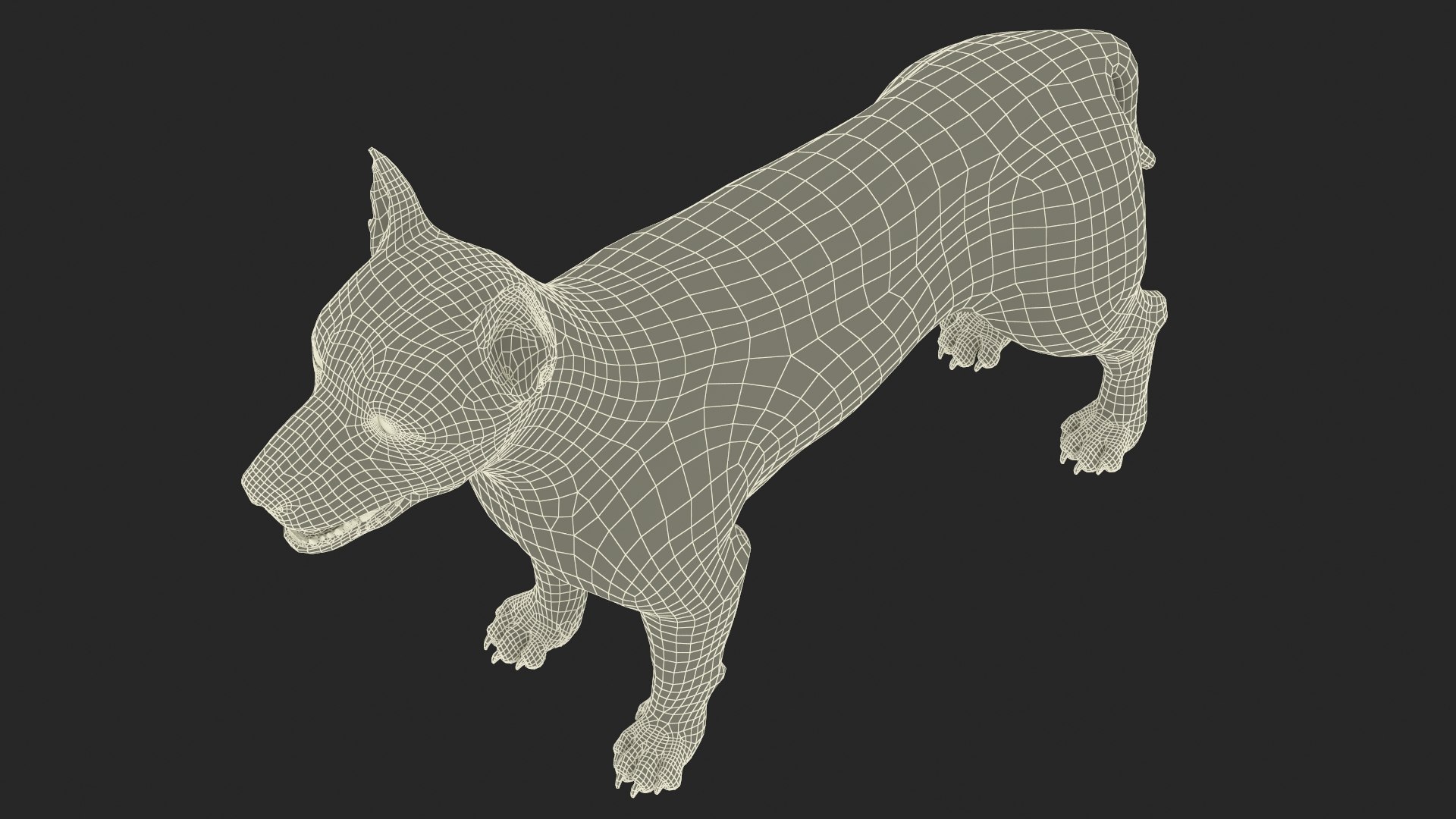 3D model Mongrel Dog Cream Rigged for Maya https://p.turbosquid.com/ts-thumb/lQ/nVzXpq/F3/mongrel_dog_cream_rigged_020/jpg/1752632244/1920x1080/fit_q87/4f5b04ca075fe98f18ed7cd631d6dac8badedd1d/mongrel_dog_cream_rigged_020.jpg