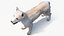 Mongrel Dog Cream Rigged for Maya