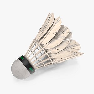 Feather Shuttlecock Old 3D model