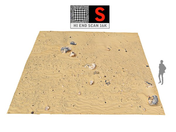 dune beach ground 16k 3D model