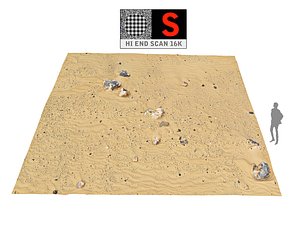 Dune Beach Ground 16K