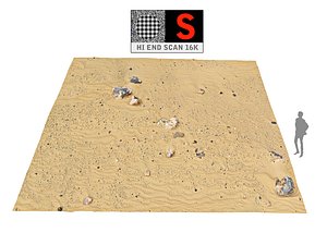 Dune Beach Ground 16K