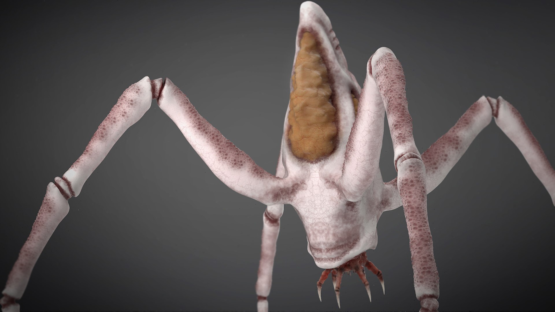 Spider Monster model https://p.turbosquid.com/ts-thumb/lR/J6XqVF/2y/s4/jpg/1667909627/1920x1080/fit_q87/42c8d1de0292e2a4b41616abb4d497f5819cbe93/s4.jpg