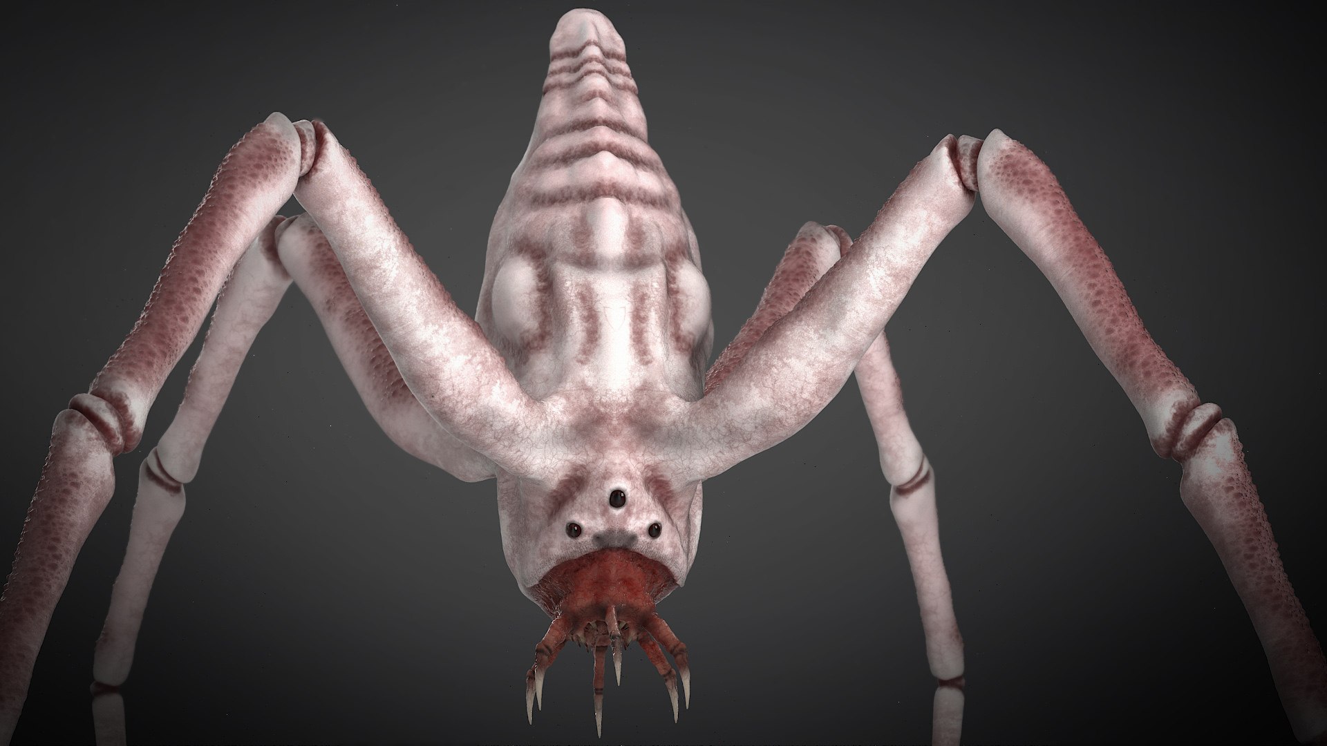 Spider Monster model https://p.turbosquid.com/ts-thumb/lR/J6XqVF/3Y/s2/jpg/1667909617/1920x1080/fit_q87/0383729baf524ff3a1e12d31d35335e2eea82896/s2.jpg