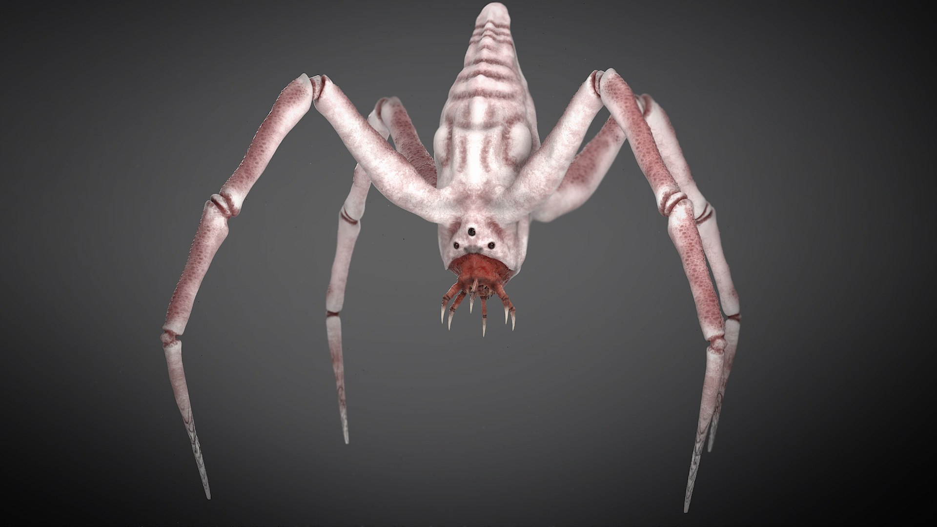 Spider Monster model https://p.turbosquid.com/ts-thumb/lR/J6XqVF/7L/s1/jpg/1667909616/1920x1080/fit_q87/3c3b00d3fc282ae4efde67d01e51826f1510d1f7/s1.jpg