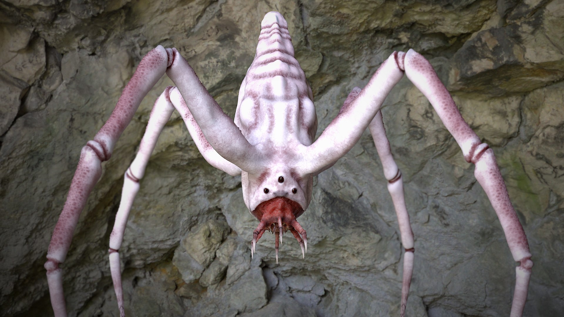 Spider Monster model https://p.turbosquid.com/ts-thumb/lR/J6XqVF/9k/r3copy/jpg/1667909590/1920x1080/fit_q87/20111edbd6c2cc62221cdc7a7dd262e5c9d55440/r3copy.jpg