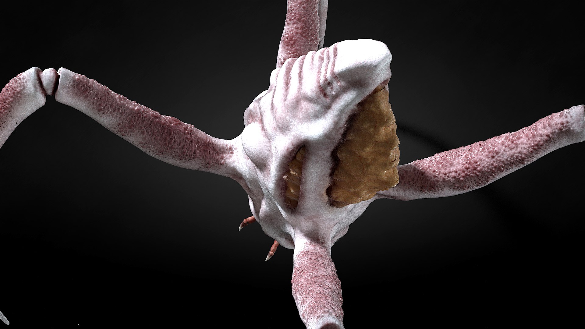 Spider Monster model https://p.turbosquid.com/ts-thumb/lR/J6XqVF/SC/rerender4/jpg/1667909625/1920x1080/fit_q87/c7f56542039992568d1176d518c080eaa9465273/rerender4.jpg