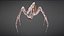 Spider Monster