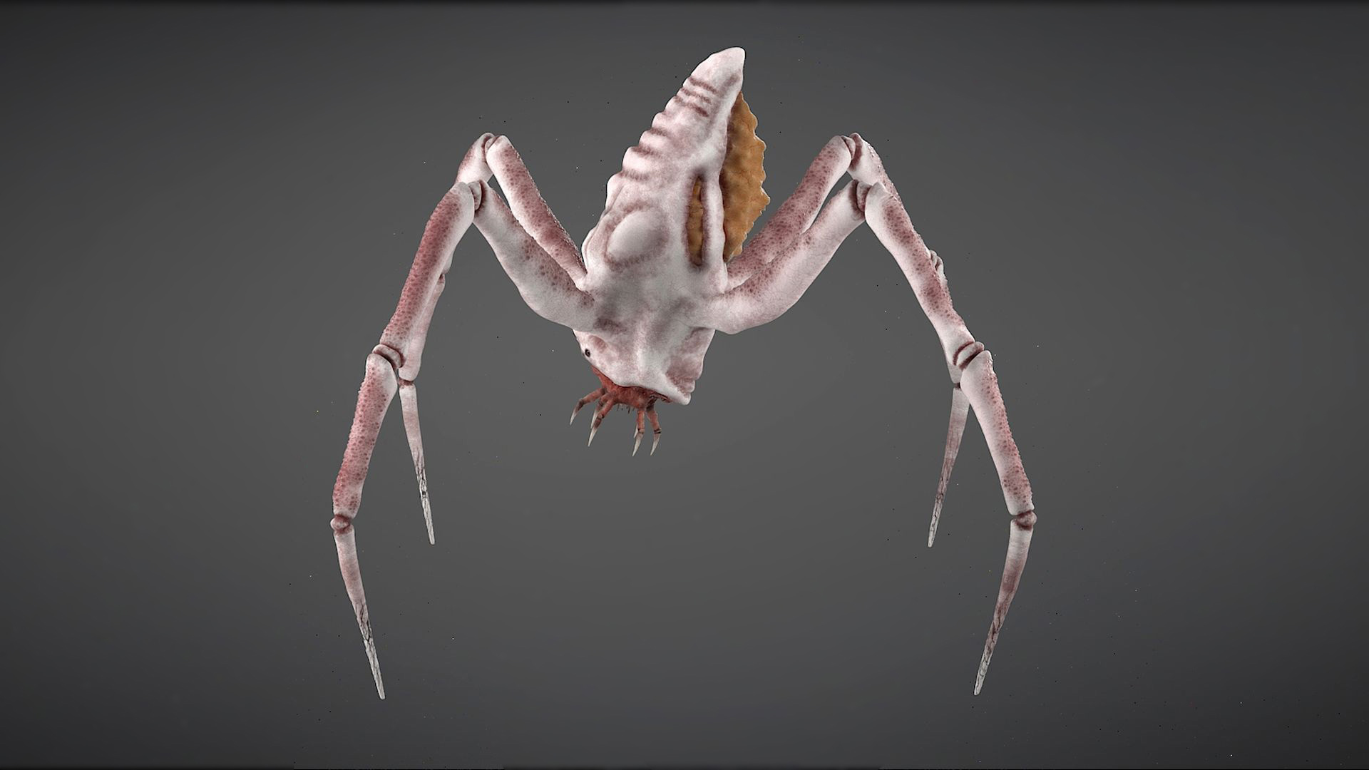 Spider Monster Model - TurboSquid 1984597