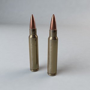 556 & 223 Ammunition