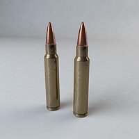 556 & 223 Ammunition
