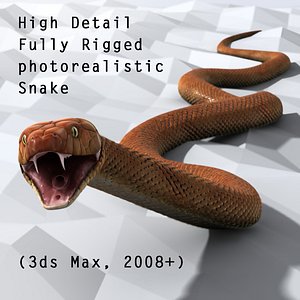 3D Snake, Elements Motion Graphics ft. closeup & macro - Envato Elements