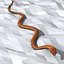 3d generic snake animation model
