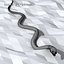 3d generic snake animation model
