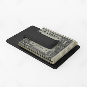 3D model Paper money wallet dollar euro foreign currency coin