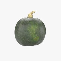 Decorative Pumpkin Gourd 04