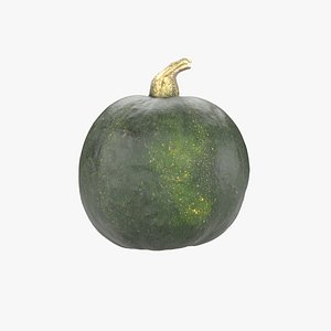 Decorative Pumpkin Gourd 04