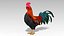 3D Rooster model
