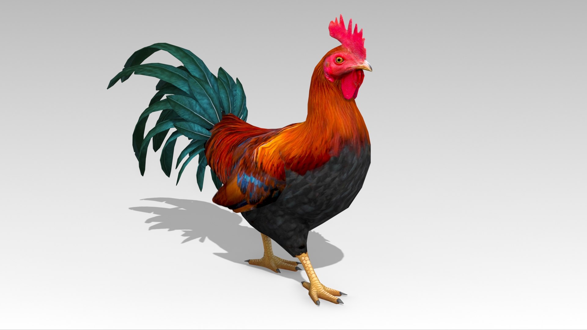 3D Rooster model https://p.turbosquid.com/ts-thumb/lR/oE4tY0/Ol/rooster_screenshot_01/jpg/1679573779/1920x1080/fit_q87/1479154159271639f748f4507bc61c4bedc2483f/rooster_screenshot_01.jpg