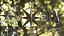 Compass Rose Silver